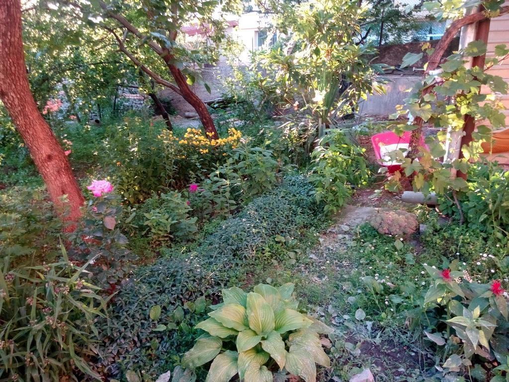 Guest House Chirina Sighnaghi Exterior photo